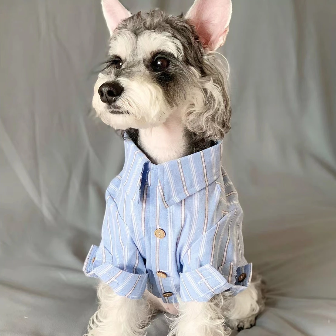 Pet Clothes Pet Puppy Cat Thin - Summer Dog Clothing 评论和价格