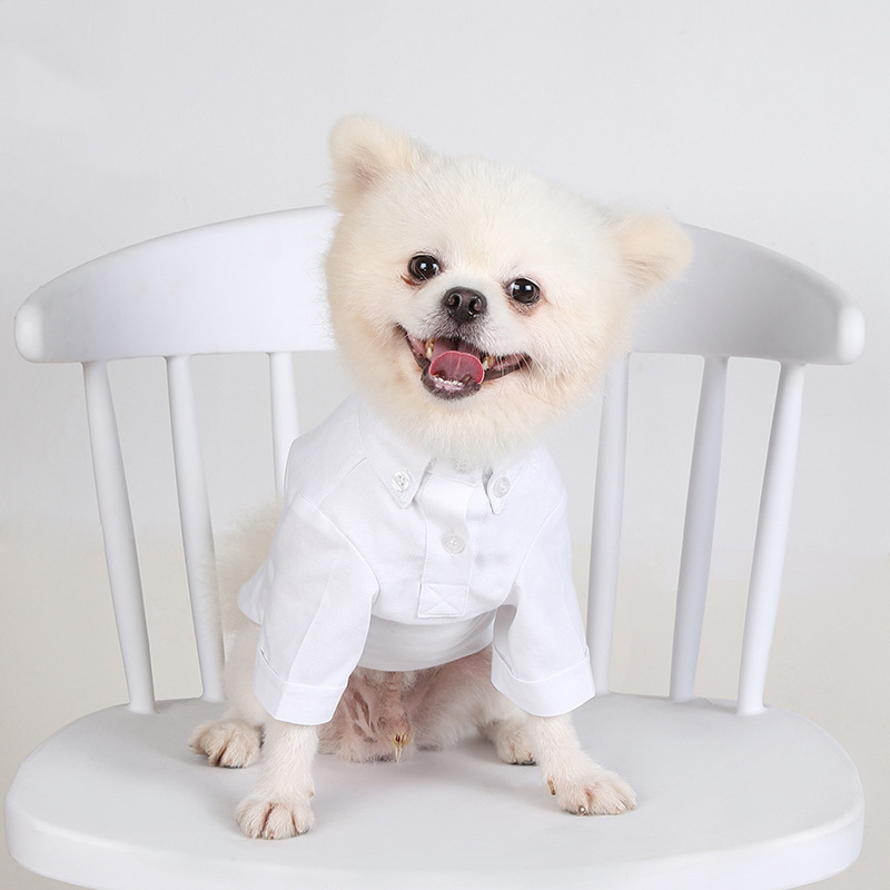 Spring and Autumn Pet Bottomin - Summer Dog Clothing 评论和价格