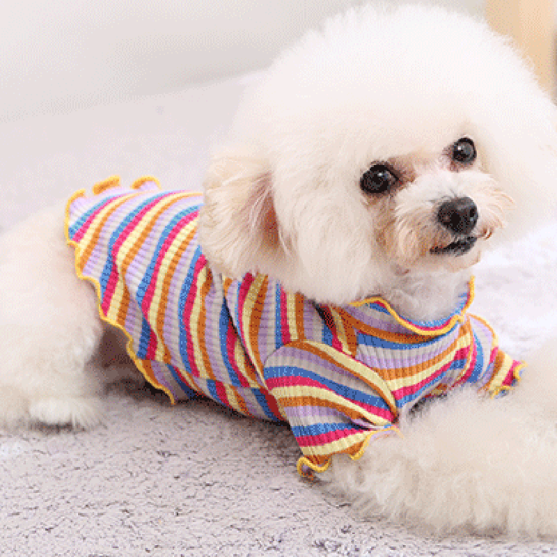 Pet Dog Clothes Puppy Vest T-s - Summer Dog Clothing 评论和价格