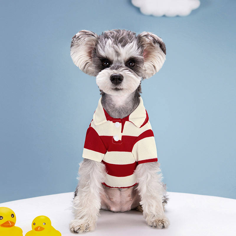 XS-4XL Dog T-Shirts Thin Breat - Summer Dog Clothing 评论和价格