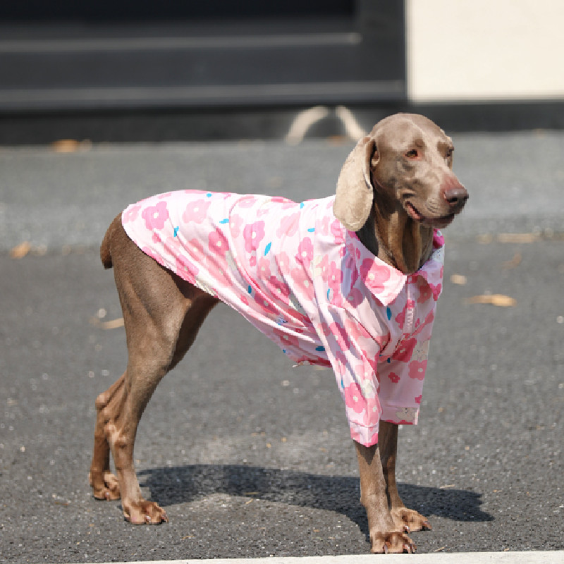 Large Dog Shirt Summer Big Dog - Summer Dog Clothing 评论和价格