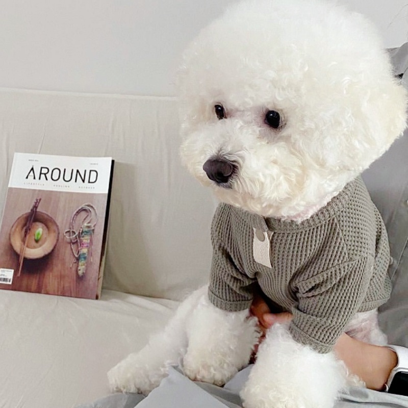 Summer Pet Shirt Solid Dog T-S - Summer Dog Clothing 评论和价格
