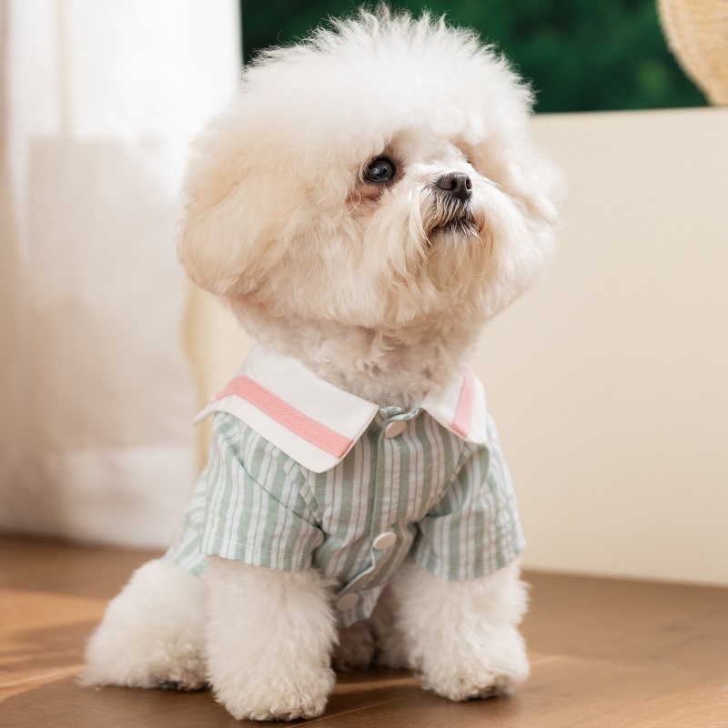 Summer Soft Dog Clothes Cute B - Summer Dog Clothing 评论和价格