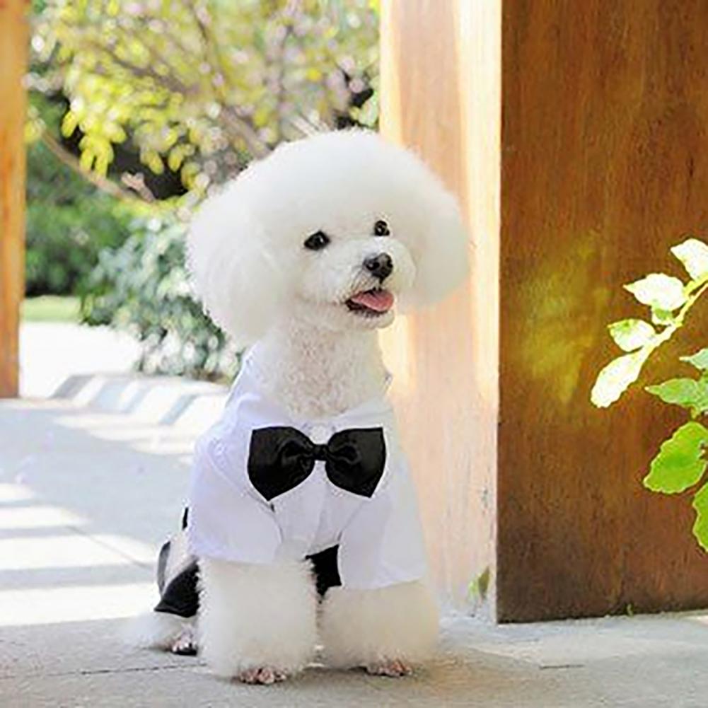 Dog Bow Tie Suit Tuxedo Costum - Summer Dog Clothing 评论和价格