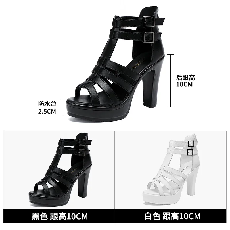 Gladiator Ladies Shoe for Wome - Summer Clothing Elegant 评论和价格